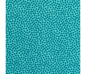 Baumwolle - Dotty türkis